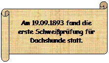 Horizontaler Bildlauf: Am 19.09.1893 fand die erste Schweiprfung fr Dachshunde statt.
