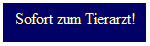 Textfeld: Sofort zum Tierarzt!
