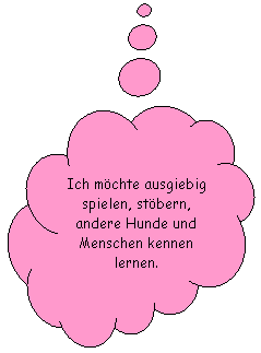 Wolkenfrmige Legende: ... ich mchte ausgiebig spielen, stbern, andere Hunde und Menschen kennen lernen.
