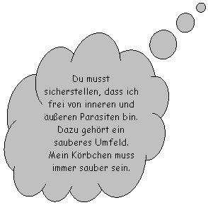 Wolkenfrmige Legende: Du musst sicherstellen, dass ich frei von inneren und ueren Parasiten bin. Dazu gehrt ein sauberes Umfeld. Mein Krbchen muss immer sauber sein.
