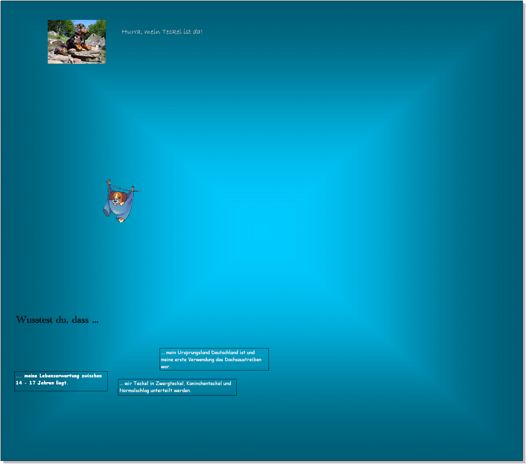 Textfeld: Hurra, mein Teckel ist da!

 
 
... meine Lebenserwartung zwischen 14 - 17 Jahren liegt.
... mein Ursprungsland Deutschland ist und meine erste Verwendung das Dachsaustreiben war.
Wusstest du, dass ...
... wir Teckel in Zwergteckel, Kaninchenteckel und Normalschlag unterteilt werden.
