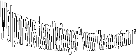 Welpen aus dem Zwinger "vom Kranepfuhl"  