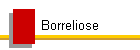 Borreliose