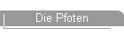 Die Pfoten