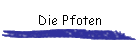 Die Pfoten