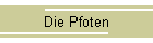 Die Pfoten