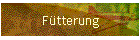 Ftterung