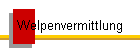 Welpenvermittlung