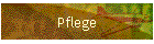 Pflege
