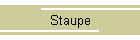 Staupe