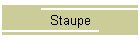 Staupe