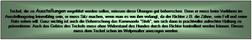 Textfeld: Teckel, die zu Ausstellungen vorgefhrt werden sollen, mssen diese bungen gut beherrschen. Denn er muss beim Vorfhren im Ausstellungsring leinenfhig sein, er muss Sitz machen, wenn man es von ihm verlangt, da der Richter z.B. die Zhne, sein Fell und seine Rute sehen will. Ganz wichtig ist auch die Beherrschung das Kommando "Steh", um sich dann in prachtvoller aufrechter Haltung zu prsentieren. Auch das Gebiss des Teckels muss ohne Widerstand des Hundes durch den Richter kontrolliert werden knnen. Dieses muss dem Teckel schon im Welpenalter anerzogen werden.
