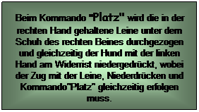 Textfeld: Beim Kommando "Platz" wird die in der rechten Hand gehaltene Leine unter dem Schuh des rechten Beines durchgezogen und gleichzeitig der Hund mit der linken Hand am Widerrist niedergedrckt, wobei der Zug mit der Leine, Niederdrcken und Kommando"Platz" gleichzeitig erfolgen muss.
