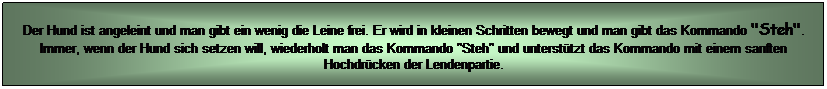 Textfeld: Der Hund ist angeleint und man gibt ein wenig die Leine frei. Er wird in kleinen Schritten bewegt und man gibt das Kommando "Steh". Immer, wenn der Hund sich setzen will, wiederholt man das Kommando "Steh" und untersttzt das Kommando mit einem sanften Hochdrcken der Lendenpartie.
