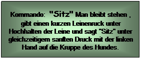 Textfeld: Kommando:  "Sitz" Man bleibt stehen , gibt einen kurzen Leinenruck unter Hochhalten der Leine und sagt "Sitz" unter gleichzeitigem sanften Druck mit der linken Hand auf die Kruppe des Hundes. 
