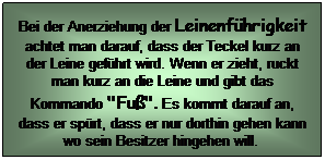 Textfeld: Bei der Anerziehung der Leinenfhrigkeit achtet man darauf, dass der Teckel kurz an der Leine gefhrt wird. Wenn er zieht, ruckt man kurz an die Leine und gibt das Kommando "Fu". Es kommt darauf an, dass er sprt, dass er nur dorthin gehen kann wo sein Besitzer hingehen will.  
