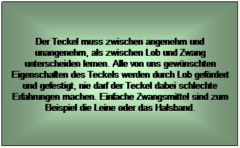 Textfeld: Der Teckel muss zwischen angenehm und unangenehm, als zwischen Lob und Zwang unterscheiden lernen. Alle von uns gewnschten Eigenschaften des Teckels werden durch Lob gefrdert und gefestigt, nie darf der Teckel dabei schlechte Erfahrungen machen. Einfache Zwangsmittel sind zum Beispiel die Leine oder das Halsband. 
