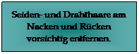 Textfeld: Seiden- und Drahthaare am Nacken und Rcken vorsichtig entfernen.
