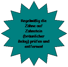 Stern mit 16 Zacken: Regelmig die Zhne auf Zahnstein (brunlicher Belag) prfen und entfernen!
