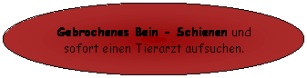 Ellipse: Gebrochenes Bein - Schienen und sofort einen Tierarzt aufsuchen.
