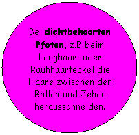 Ellipse: Bei dichtbehaarten Pfoten, z.B beim Langhaar- oder Rauhhaarteckel die Haare zwischen den Ballen und Zehen herausschneiden.