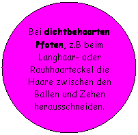 Ellipse: Bei dichtbehaarten Pfoten, z.B beim Langhaar- oder Rauhhaarteckel die Haare zwischen den Ballen und Zehen herausschneiden.
