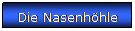 Textfeld: Die Nasenhöhle