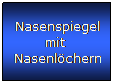 Textfeld: Nasenspiegel mit  Nasenlchern
