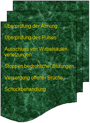 Flussdiagramm: Mehrere Dokumente: berprfung der Atmung 
berprfung des Pulses  
Ausschluss von Wirbelsulen-verletzungen 
Stoppen bedrohlicher Blutungen 
Versorgung offener Brche 
Schockbehandlung 
 
