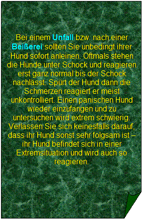 Gefaltete Ecke: Bei einem Unfall bzw. nach einer Beierei sollten Sie unbedingt ihrer Hund sofort anleinen. Oftmals stehen die Hunde unter Schock und reagieren erst ganz normal bis der Schock nachlsst. Sprt der Hund dann die Schmerzen reagiert er meist unkontrolliert. Einen panischen Hund wieder einzufangen und zu untersuchen wird extrem schwierig. Verlassen Sie sich keinesfalls darauf, dass ihr Hund sonst sehr folgsam ist  ihr Hund befindet sich in einer Extremsituation und wird auch so reagieren.
