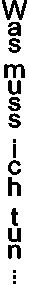 Reihenfolge der Untersuchung des Hundes