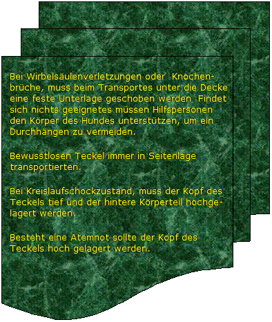 Flussdiagramm: Mehrere Dokumente: Bei Wirbelsulenverletzungen oder  Knochen-brche, muss beim Transportes unter die Decke eine feste Unterlage geschoben werden  Findet sich nichts geeignetes mssen Hilfspersonen den Krper des Hundes untersttzen, um ein Durchhngen zu vermeiden.
Bewusstlosen Teckel immer in Seitenlage transportierten.
Bei Kreislaufschockzustand, muss der Kopf des Teckels tief und der hintere Krperteil hochge- lagert werden. 
Besteht eine Atemnot sollte der Kopf des Teckels hoch gelagert werden.
