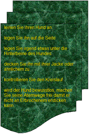 Flussdiagramm: Mehrere Dokumente: leinen Sie ihren Hund an   
legen Sie ihn auf die Seite       
legen Sie irgend etwas unter die Hinterbeine des Hundes
decken Sie ihn mit ihrer Jacke oder hnlichem zu 
kontrollieren Sie den Kreislauf 
wird der Hund bewusstlos, machen Sie seine Atemwege frei damit er nicht an Erbrochenem ersticken kann 
 

