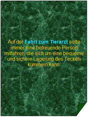 Gefaltete Ecke: Auf der Fahrt zum Tierarzt sollte immer eine betreuende Person mitfahren, die sich um eine bequeme und sichere Lagerung des Teckels kmmern kann.
