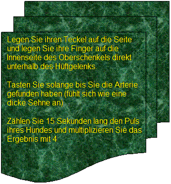 Flussdiagramm: Mehrere Dokumente: Legen Sie ihren Teckel auf die Seite und legen Sie ihre Finger auf die Innenseite des Oberschenkels direkt unterhalb des Hftgelenks. 
Tasten Sie solange bis Sie die Arterie gefunden haben (fhlt sich wie eine dicke Sehne an) 
Zhlen Sie 15 Sekunden lang den Puls ihres Hundes und multiplizieren Sie das Ergebnis mit 4 
 
