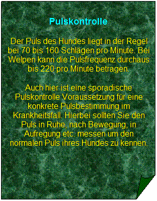 Gefaltete Ecke: Pulskontrolle
Der Puls des Hundes liegt in der Regel bei 70 bis 160 Schlgen pro Minute. Bei Welpen kann die Pulsfrequenz durchaus bis 220 pro Minute betragen.
Auch hier ist eine sporadische Pulskontrolle Voraussetzung fr eine konkrete Pulsbestimmung im Krankheitsfall. Hierbei sollten Sie den Puls in Ruhe, nach Bewegung, in Aufregung etc. messen um den normalen Puls ihres Hundes zu kennen.
 
