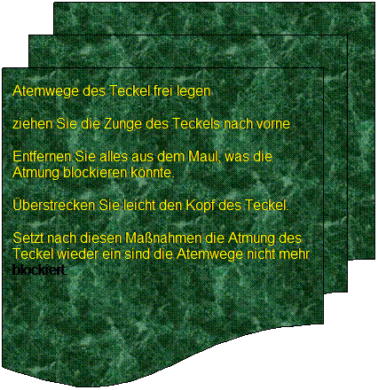 Flussdiagramm: Mehrere Dokumente: Atemwege des Teckel frei legen  
ziehen Sie die Zunge des Teckels nach vorne 
Entfernen Sie alles aus dem Maul, was die Atmung blockieren knnte.
berstrecken Sie leicht den Kopf des Teckel.
Setzt nach diesen Manahmen die Atmung des Teckel wieder ein sind die Atemwege nicht mehr blockiert.
 
