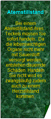 Gefaltete Ecke: Atemstillstand
Bei einem Atemstillstand ihres    Teckels mssen Sie sofort handeln.  Da die lebenswichtigen Organe nicht mehr mit Sauerstoff versorgt werden, entstehen dauernde Schden. Handeln Sie nicht wird es zwangslufig zudem auch zu einem Herzstillstand kommen. 
