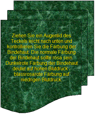 Flussdiagramm: Mehrere Dokumente: Ziehen Sie ein Augenlid des Teckels leicht nach unten und kontrollieren Sie die Frbung der Bindehaut. Die normale Frbung der Bindehaut sollte rosa sein. Dunkelrote Frbung der Bindehaut deutet auf hohen Blutdruck - blassrosarote Frbung auf niedrigen Blutdruck.
