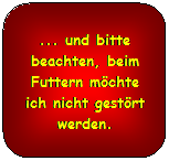 Abgerundetes Rechteck: ... und bitte beachten, beim Futtern mchte ich nicht gestrt werden.
