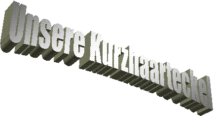 Unsere Kurzhaarteckel