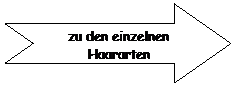 Eingekerbter Pfeil nach rechts: zu den einzelnen Haararten
