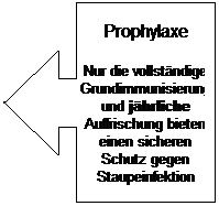 Legende mit Pfeil nach links: Prophylaxe
Nur die vollstndige Grundimmunisierung und jhrliche Auffrischung bieten einen sicheren Schutz gegen Staupeinfektion
